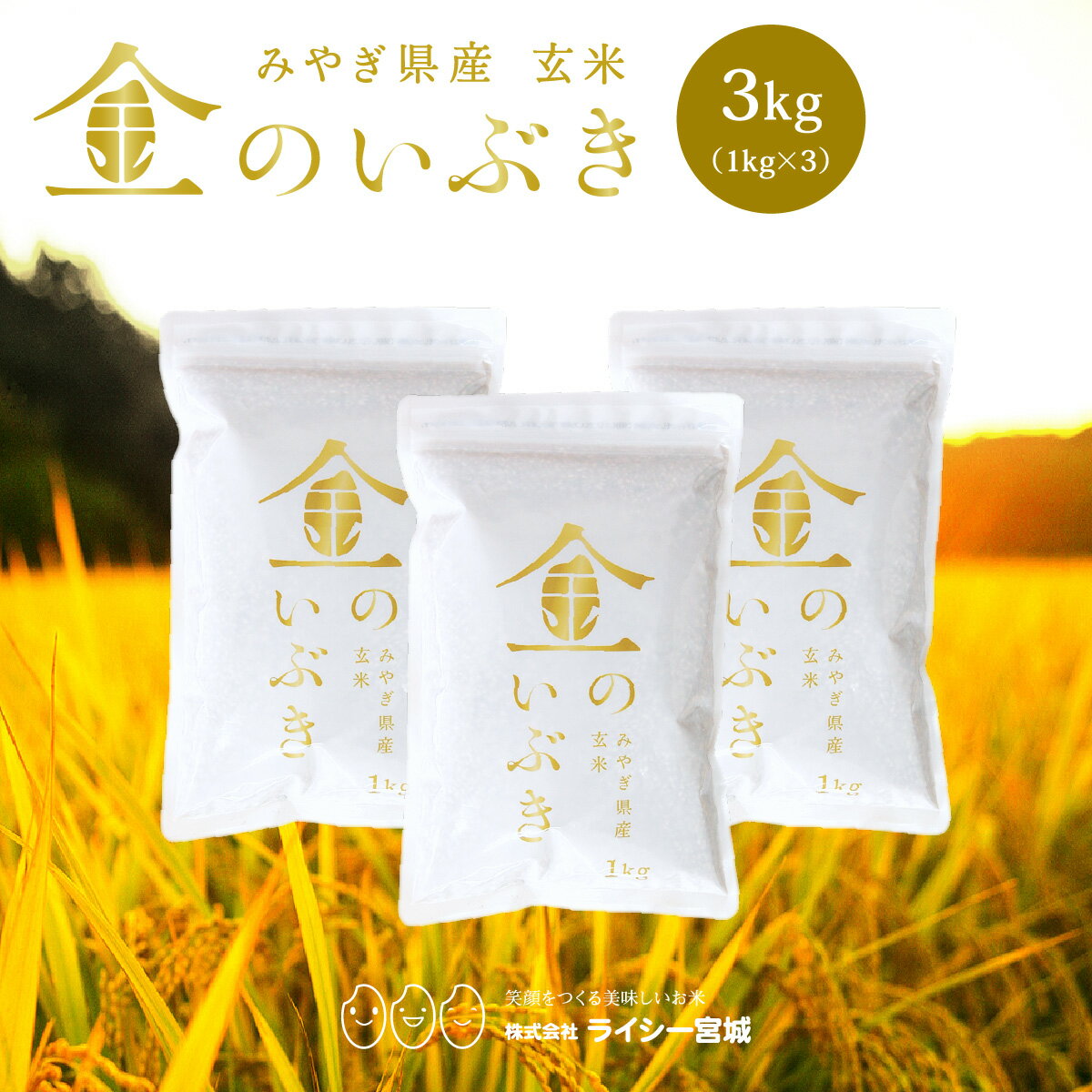 金のいぶき 玄米 3kg 送料無料 高機能玄米協会認定 宮城県産 令和6年産 高性能玄米 《3kg（1kg × 3袋）》 真空圧縮パック 宮城県水稲奨励品種 宮城県 玄米 国内産米 ブランド米