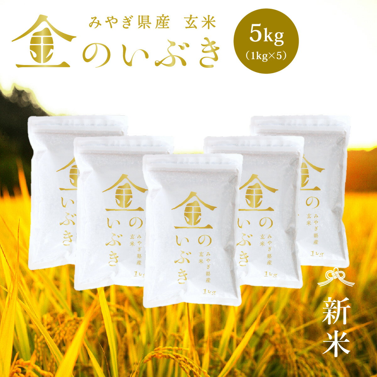 新米 金のいぶき 玄米 5kg 送料無料 高機能玄米協会認定 宮城県産 令和7年産 高性能玄米 《5kg（1kg × 5袋）》 真空圧縮パック 宮城県..