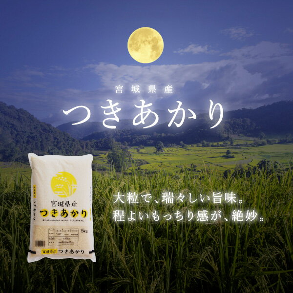 《期間限定★20%OFF》 つきあかり 米 30kg 宮城県産 送料無料 令和3年産 《30kg（5kg × 6袋）》 白米 お米 30kg 米30kg 米30キロ 30キロ 宮城県 月あかり 国内産米 精米 単一原料米 検査米