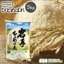 ひとめぼれ 米 5kg 送料無料 あす楽 岩手県産 令和元年産 《5kg》 白米 お米 5kg 米5kg 米5キロ 5キロ 岩手県 ひとめぼれ 国内産米 精米 単一原料米 検査米 ブランド米