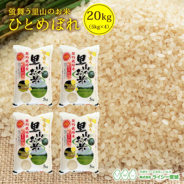 里山 ひとめぼれ 新米 白米 米 20kg 送料無料 あす楽 宮城県産 金成産 令和...