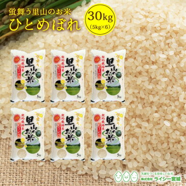 里山 ひとめぼれ 白米 米 30kg 送料無料 あす楽 宮城県産 金成産 令和元年産 《30kg（5kg × 6袋）》 白米 お米 30kg 米30kg 米30キロ 宮城県 ひとめぼれ 国内産米 精米 単一原料米 検査米 ブランド米