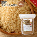 《期間限定★10%OFF》＋エントリーで全品ポイント10倍★ 玄米 ひとめぼれ 3kg 送料無料 岩手県産 令和元年産 《3kg》 米 お米 3kg 米3kg 米3キロ 玄米 送料無料 岩手県 農家直送 国内産米 単一原料米 検査米 ブランド米