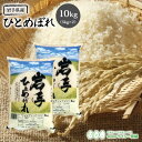 ひとめぼれ 米 10kg 送料無料 岩手県産 令和2年産 《10kg（5kg × 2袋）》 白米 お米 10kg 米10kg 米10キロ 10キロ 岩手県 ひとめぼれ 国内産米 精米 単一原料米 検査米