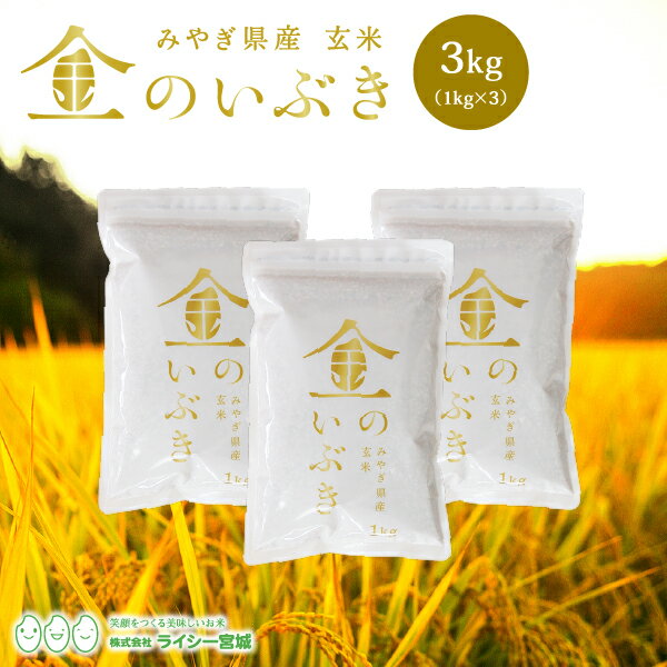 金のいぶき 玄米 3kg 送料無料 あす楽 高機能玄米協会認定 宮城県産 令和2年産 高性能玄米 《3kg（1kg × 3袋）》 真空圧縮パック 宮城県水稲奨励品種 宮城県 玄米 国内産米 ブランド米