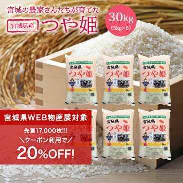 つや姫 米 30kg 送料無料 あす楽 宮城県産 令和3年産 《30kg（5kg × 6袋）》 白米 お米 30kg 米30kg 米30キロ 宮城県 つやひめ 国内産米 精米 単一原料米 検査米 ブランド米 産地直送