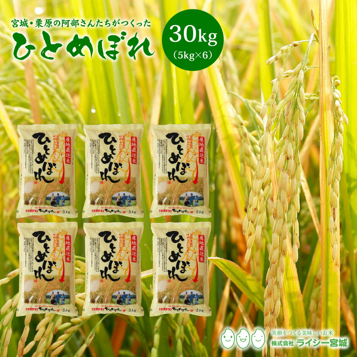 ひとめぼれ 米 30kg 宮城県栗原の阿部さんたちがつくったひとめぼれ 送料無料 あす楽 産地直送 令和5年産 《30kg（5kg × 6袋）》 白米 お米 30kg 米30kg 米30キロ 精米 検査米 ブランド米