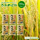 ひとめぼれ 米 30kg 宮城県栗原の阿部さんたちがつくったひとめぼれ 送料無料 産地直送 令和5年産 《30kg（5kg × 6袋）》 白米 お米 30kg 米30kg 米30キロ 精米 検査米 ブランド米