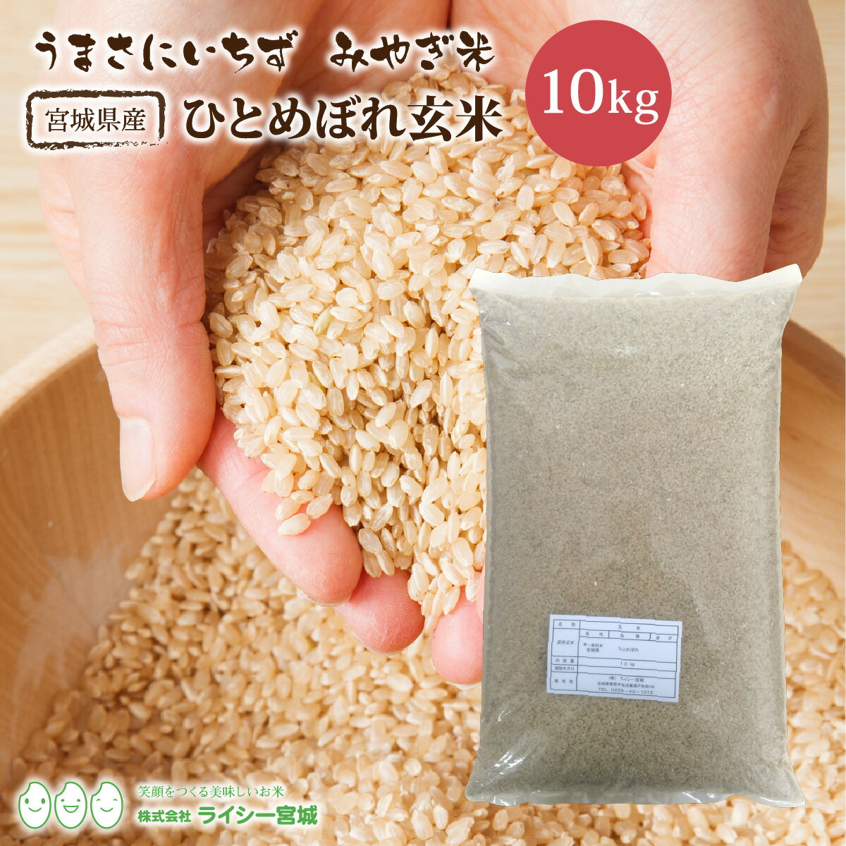 ひとめぼれ 玄米 宮城 10kg 送料無料 