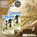 ひとめぼれ 米 10kg 岩手県産 送料無料 あす楽 令和5