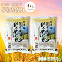 ひとめぼれ 米 4kg 送料無料 一関市産 岩手県産 令和5年産 《4kg（2kg × 2袋）》 白米 少量 お米 4kg 米4kg 米4キロ 4キロ 一関市 岩手県 ひとめぼれ 国内産米 精米 単一原料米 検査米 ブランド米