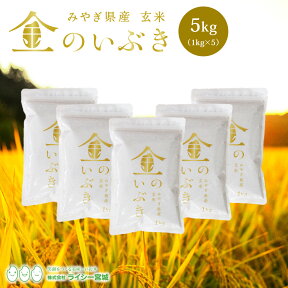 金のいぶき 玄米 5kg 送料無料 あす楽 高機能玄米協会認定 宮城県産 令和5年産 高性能玄米 《5kg（1kg × 5袋）》 真空圧縮パック 宮城県水稲奨励品種 宮城県 玄米 国内産米 ブランド米