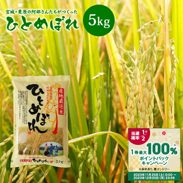 【抽選で最大100%ポイントバック】 新米 ひとめぼれ 米 5kg 宮城県栗原の阿部さんたちがつくったひとめぼれ 送料無料 あす楽 宮城県産 令和5年産 《5kg》 白米 お米 5kg 米5kg 米5キロ 国内産米 精米 検査米 ブランド米 産地直送のサムネイル