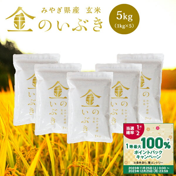 【抽選で最大100%ポイントバック】 新米 金のいぶき 玄米 5kg 送料無料 あす楽 高機能玄米協会認定 宮城県産 令和5年産 高性能玄米 《5kg（1kg × 5袋）》 真空圧縮パック 宮城県水稲奨励品種 宮城県 玄米 国内産米 ブランド米のサムネイル