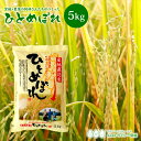 ひとめぼれ 米 5kg 宮城県栗原の阿部さんたちがつくったひとめぼれ 送料無料 宮城県産 令和6年産 《5kg》 白米 お米 5kg 米5kg 米5キロ 国内産...