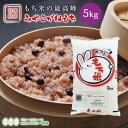 みやこがねもち 餅米 5kg 送料無料 宮城県産 令和6年産 《5kg》 もち米 みやこがね 宮城県 国内産米 5kg 精米 単一原料米 検査米 ブランド米