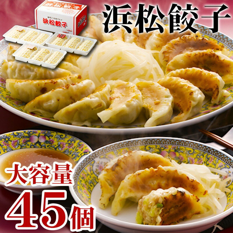 お歳暮 ギフト 浜松餃子 45個 内祝い お誕生日 出産内祝い 結婚内祝い 送料無料 高級 プレゼント ギフトセット 香典返し 法要 法事 還暦 贈答品 お返し...