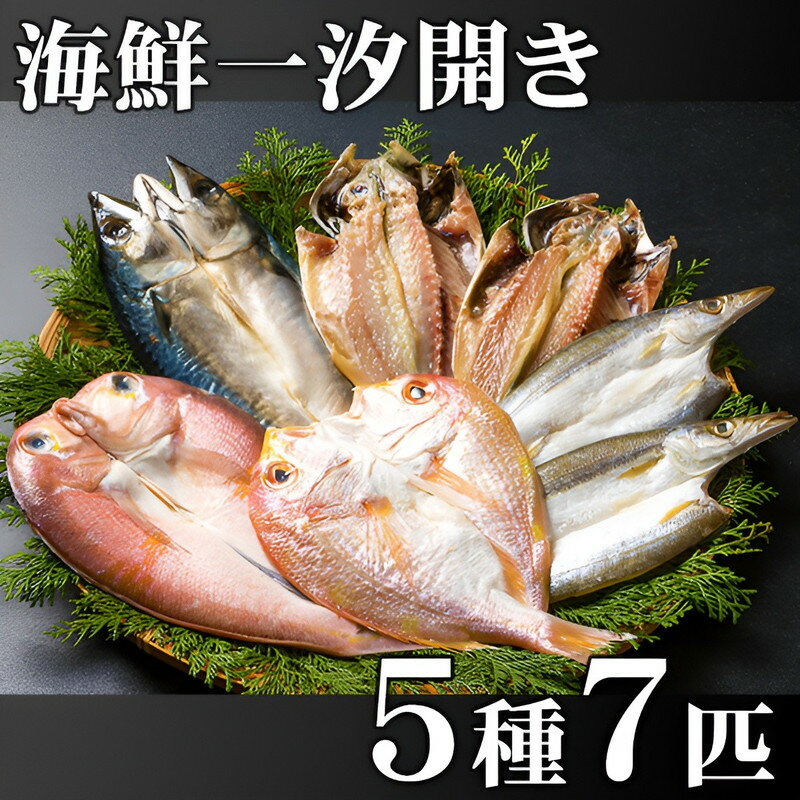 ギフト 海鮮一汐開きセット (G) 魚 干物 母の日 父の日 内祝い お誕生日 出産内祝い 結婚内祝い 送料無料 高級 プレゼント ギフトセット 香典返し 法要 法事 還暦 贈答品 お返し 贈り物 人気 売れ筋 お取り寄せ