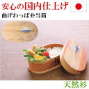 曲げわっぱ お弁当箱 弁当箱 一段 わっぱ弁当 小判 ランチボックス 杉 木製 ギフト プレゼント 誕生日