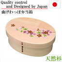 曲げわっぱ お弁当箱 弁当箱 一段 わっぱ弁当 小判 ランチボックス 杉 木製 ギフト プレゼント 誕生日