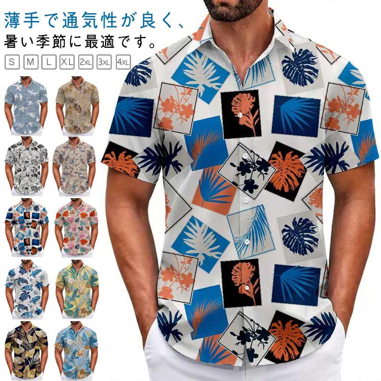 �����ϥ���� ��� ��ǥ����� Ⱦµ ���ߥ���� �ɼ� ������� �ܥ��˥����� �꥾���ȥ���� ���� �礭�������� �ϥ磻�� �����奢�� ����� ������ ����...