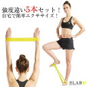 トレーニングチューブ 筋トレ ゴムバンド トレーニング ストレッチバンド ダイエット チューブ トレーニング グッズ ストレッチゴム トレーニングバンド ヨガ 筋トレ 強度違い5本セット 送料無料 幸せラボ