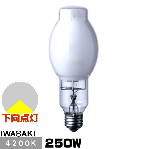  MF250LSH2/BUS ᥿ϥ饤ɥ FECޥϥH ָ ̷ 