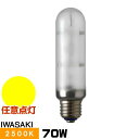 岩崎 NHT70FSDX ナトリウムランプ ハイラックス2500 拡散形 直管形 暖光色 E26口金形 任意点灯形
