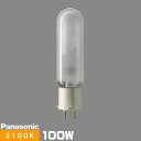 (メーカー在庫限り)パナソニック MT100FE-LW-PG/N スカイビーム (旧形番:MT100FE-LW/PG)