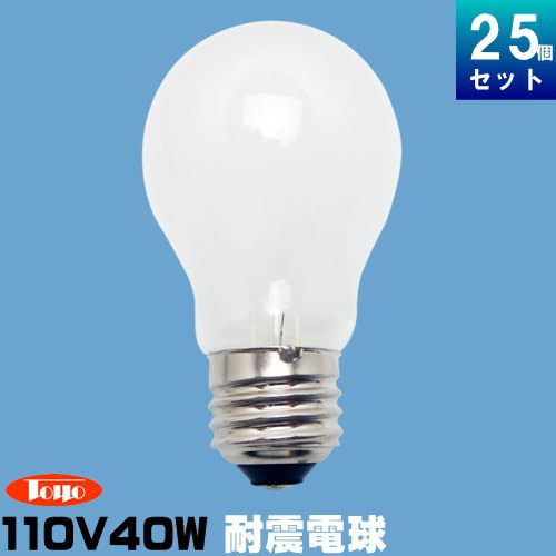 【在庫あり】 パナソニック LDS110V54WWK2P ホワイト 60W形 ミニクリプトン電球　（2個入）