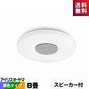 (メーカー在庫限り)アイリスオーヤマ CEA-2108DLSP LED スピーカーシーリング 8畳 調光・調色タイプ Bluetooth