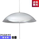 アイリスオーヤマ PLM6D-YA LEDペンダント 洋風 6畳 昼光色