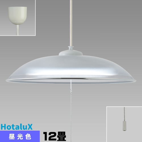 ۥ륯(NEC) HCDD1253-X LEDڥ 12 