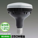 アイリスオーヤマ LDR100-200V23N7-H/E39-36BK2 LED電球 バラスト水銀灯250W相当 昼白色相当