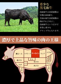 鳥取和牛サーロインステーキ【600g】【送料無料】【ギフト対応可】