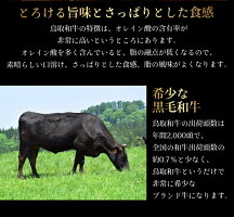 A5等級鳥取和牛リブローススライス【500g】【送料無料】【ギフト対応可】
