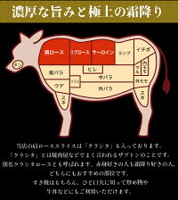 A5等級鳥取和牛リブローススライス【500g】【送料無料】【ギフト対応可】