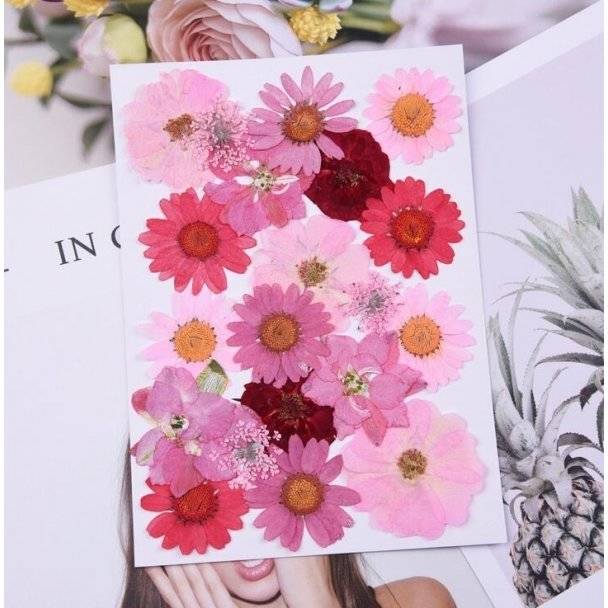 お花 メイク 清々しい 手芸 キット ケース 手作り Iphoneケース クラフえト ドライフラワー 押し花キット Diyメイク 人気特価激安 アート ネイル デコパーツ