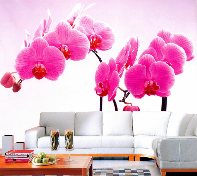 ブラックフライデー！最大25％お値引き！条件は要問い合わせ！~輸入クロス（輸入壁紙） lv-002日本人ス..