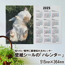 お好きな写真で作れるオリジナルカレンダー 51.5cm×36.4cmの写真入りオリジナルカレンダー 壁紙カレンダー カレンダー 壁に貼るカレンダー ハレンダー 壁紙シール 直接貼るカレンダー 簡単作業 DIY シンプルなカレンダー 書き込みもできる ハレンダー