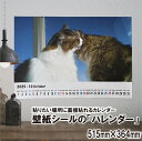 お好きな写真で作れるオリジナルカレンダー 51.5cm×36.4cmの写真入りオリジナルカレンダー 壁紙カレンダー カレンダー 壁に貼るカレンダー ハレンダー 壁紙シール 直接貼るカレンダー 簡単作業 DIY シンプルなカレンダー 書き込みもできる ハレンダー