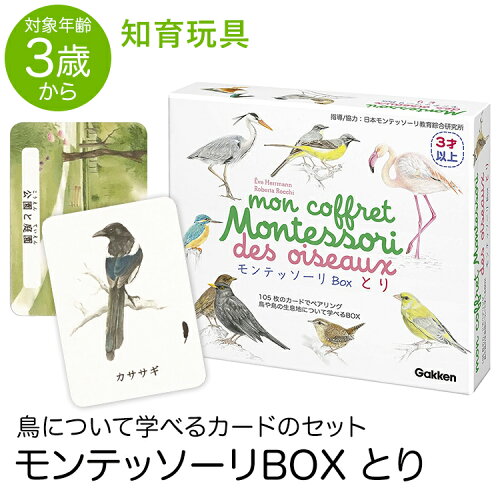 学研モンテッソーリbox とり鳥教具知育玩具3歳4歳5歳カード本知育玩具おもちゃ学習教材遊具教育勉強子供子どもこどもキッズ男の子女の子保育園 幼稚園園児幼児室内誕生日 学研モンテッソーリbox とり鳥教具知育玩具3歳4歳5歳カード本知育玩具おもちゃ学習教材遊具教育勉強子供子どもこどもキッズ男の子女の子保育園 幼稚園園児幼児室内誕生日