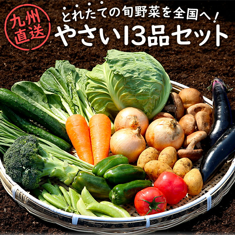 野菜セット 九州産 産直 野菜 詰め合わせ 13品 国産 九州 宅配 お取り寄せ 食材 グルメ ご当地 ギフト 母の日 父の日 お中元 お歳暮 贈答 やさい 九州野菜 農家 新鮮 フレッシュ 旬 とれたて 採れたて おまかせ 詰合せ 詰合わせ クール便 VEG-13