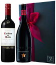 御祝 御礼 誕生日 ビール ギフト ビール ワイン 2本セット スペイン高級ビール イネディット ビール 750ml 悪魔の蔵の赤ワイン カッシェロ・デル・ディアブロ カベルネ・ソーヴィニヨン 750ml 御歳暮 クリスマス