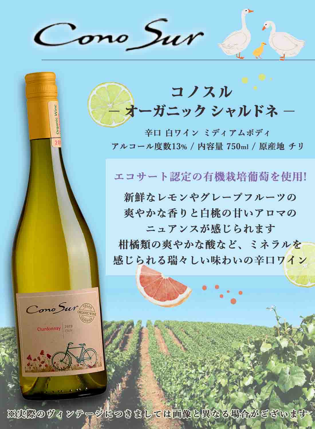 ワイン ぶどう 桃 ギフトのRQMの【選べるメッセージカード】ワイン ギフト プレゼント 御祝 ワイン チョコ コノスル オーガニック シャルドネ 白ワイン 辛口 チリ 750ml 1本 × チョコレート 3個入フランボワーズ/タンザニア/メキシック ショコラ ボンボンショコラ リボン包装 誕生日 メッセージ｜アングル3