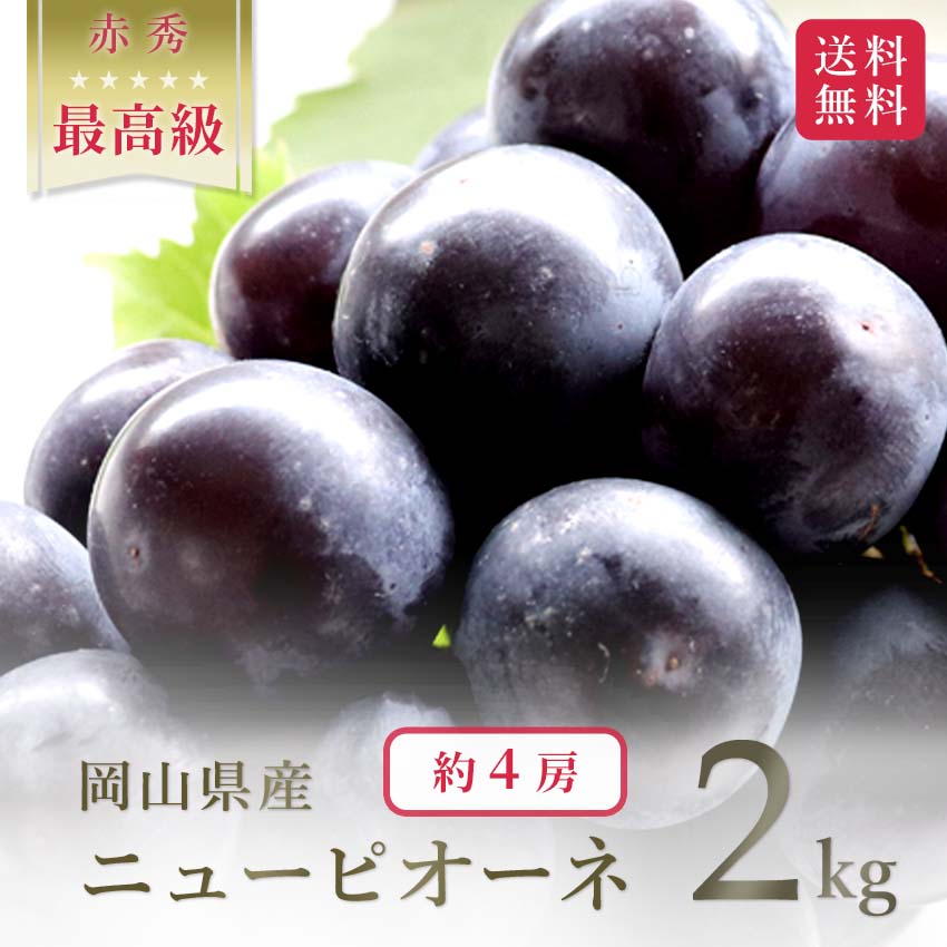 【お中元 夏ギフト】ぶどう ニュー ピオーネ 4房 2kg 高級 赤秀 岡山 農園直送 食べ物 果物 葡萄 果物 プレゼント おしゃれ 誕生日 メッセージのサムネイル