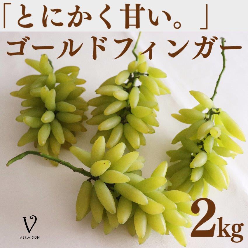 【お中元 夏ギフト】 ぶどう ゴールドフィンガー 2kg 冷蔵便 フルーツギフト 果物 シャインマスカット プレゼント おしゃれ 誕生日 メッセージのサムネイル