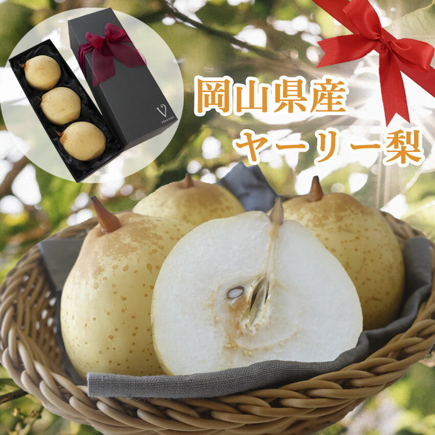 【全品P5倍 父の日 ギフト 早割333円 メッセージ】12月上中旬からお届け開始 プレゼント 御祝 フルーツ ギフト 梨 ヤーリー梨 鴨梨 3玉 岡山県産 食べ物 果物 化粧箱入り リボン プレゼント おしゃれ 誕生日 メッセージ