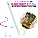 【1年保証期間】iPad専用 タッチペン 極細 1.0mm タブレット スタイラスペン 超高感度 超高精度 極細ペン先 多機種対応 磁気吸着機能 金属製 軽量 ...