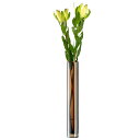 LSA/EPOQUE Vase Amber LEQ18 フラワー ベース アンバー (Φ7×H48cm)箱入り 生産国:ポーランド